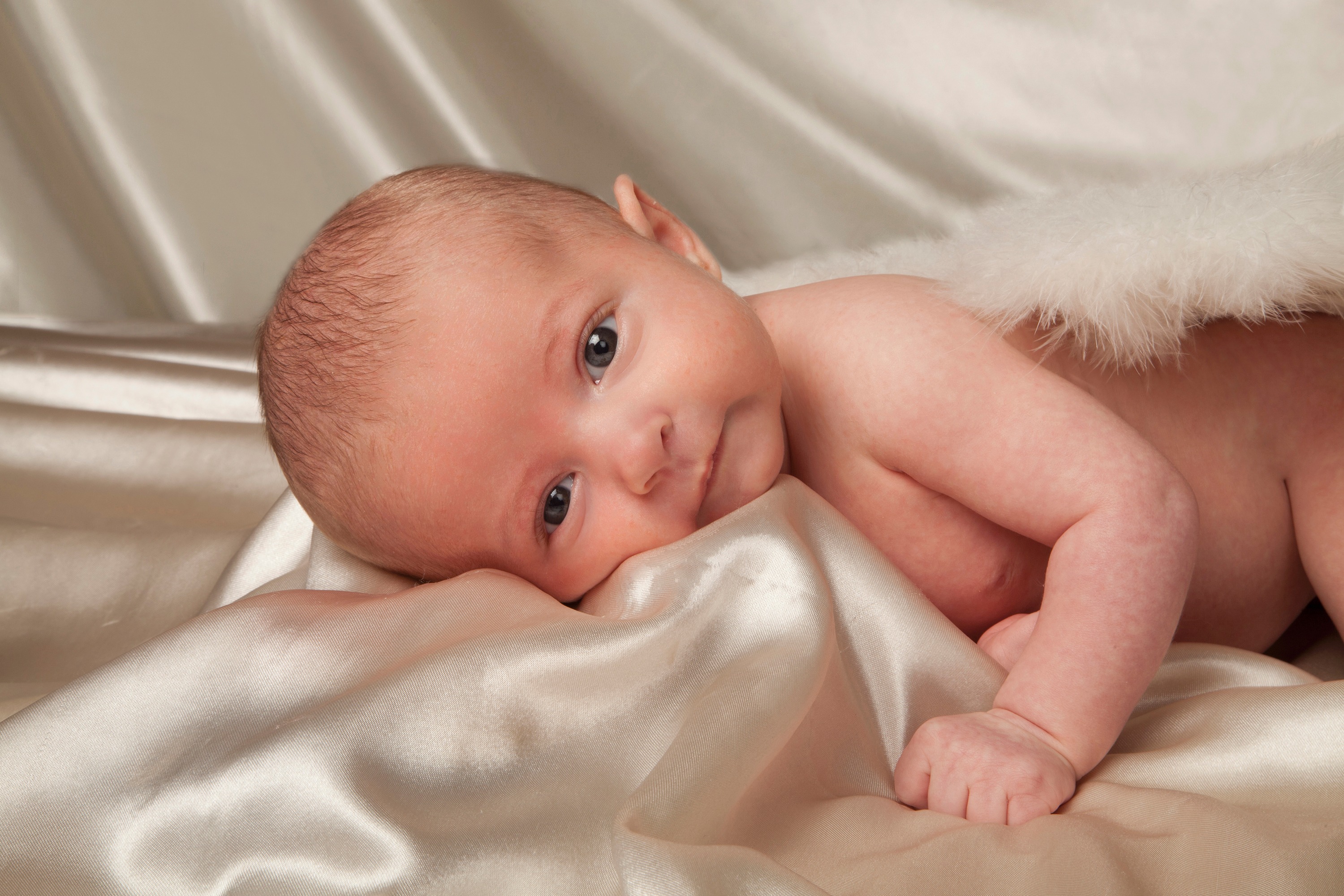 las vegas children photography las vegas children photography